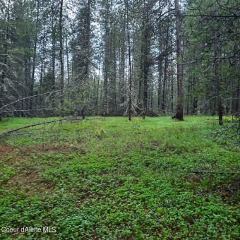 5 wooded Acres with power in Blanchard Idaho, near HWY 41 on Stoneridge Golf Club in Idaho - for sale on GolfHomes.com, golf home, golf lot