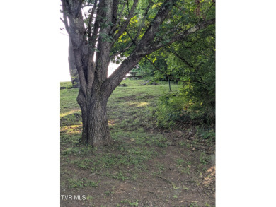 Beautifully Updated Home with added living area in basement on Country Club of Bristol in Tennessee - for sale on GolfHomes.com, golf home, golf lot