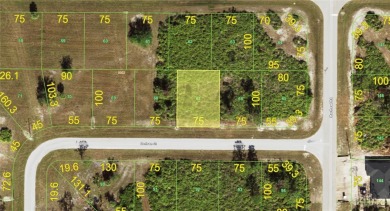 Beautiful Rotonda Sands corner lot that is 75x100ft, ready for on Rotonda Golf and Country Club The Links Course in Florida - for sale on GolfHomes.com, golf home, golf lot