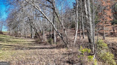 LAKE ACCESS LOT! Welcome to the gated community of Hidden Harbor on Old Union Golf Course in Georgia - for sale on GolfHomes.com, golf home, golf lot