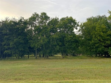 Only 1200 sq ft minimum in this LaPaloma subdivision! East on Rock Creek Golf Club in Texas - for sale on GolfHomes.com, golf home, golf lot