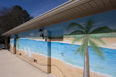 Better Than New Luxury Home in Cedar Creek | Aiken, SC A on The Golf Club At Cedar Creek in South Carolina - for sale on GolfHomes.com, golf home, golf lot