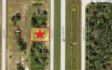 Fantastic opportunity to build your dream home in the serene on Rotonda Golf and Country Club The Links Course in Florida - for sale on GolfHomes.com, golf home, golf lot