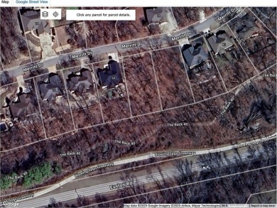 This lot is a needle in the haystack!  Not only does it have on Bella Vista - Metfield Golf Complex and Country Club in Arkansas - for sale on GolfHomes.com, golf home, golf lot