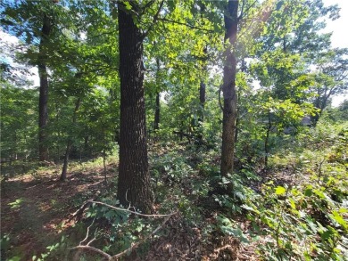 This lot is a needle in the haystack!  Not only does it have on Bella Vista - Metfield Golf Complex and Country Club in Arkansas - for sale on GolfHomes.com, golf home, golf lot