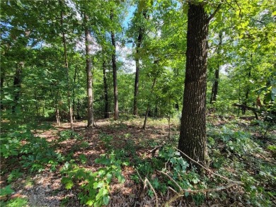 This lot is a needle in the haystack!  Not only does it have on Bella Vista - Metfield Golf Complex and Country Club in Arkansas - for sale on GolfHomes.com, golf home, golf lot