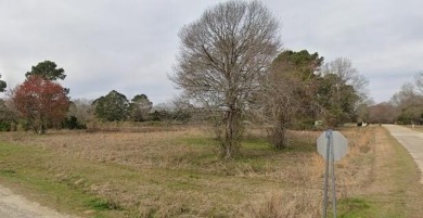 Discover the ideal location for your dream home or weekend on Foxboro Golf Club in South Carolina - for sale on GolfHomes.com, golf home, golf lot