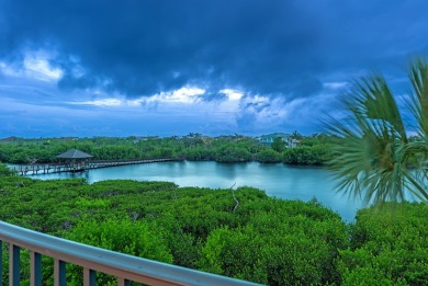 Welcome to this elegant and stunning home, where captivating on Hideaway Beach Golf Course in Florida - for sale on GolfHomes.com, golf home, golf lot