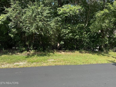 This is a premium Golf Front lot overlooking the 17th green on on Tanasi Golf Course in Tennessee - for sale on GolfHomes.com, golf home, golf lot