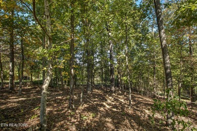 This is a premium Golf Front lot overlooking the 17th green on on Tanasi Golf Course in Tennessee - for sale on GolfHomes.com, golf home, golf lot