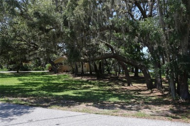 Lakefront Luxury with No HOA!

Welcome to Serenity Estate, a on Meadow Oaks Golf and Country Club in Florida - for sale on GolfHomes.com, golf home, golf lot