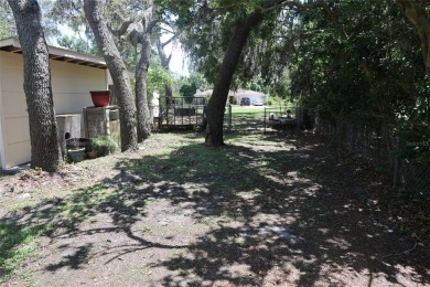 Lakefront Luxury with No HOA!

Welcome to Serenity Estate, a on Meadow Oaks Golf and Country Club in Florida - for sale on GolfHomes.com, golf home, golf lot