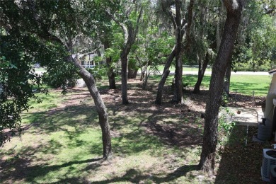 Lakefront Luxury with No HOA!

Welcome to Serenity Estate, a on Meadow Oaks Golf and Country Club in Florida - for sale on GolfHomes.com, golf home, golf lot