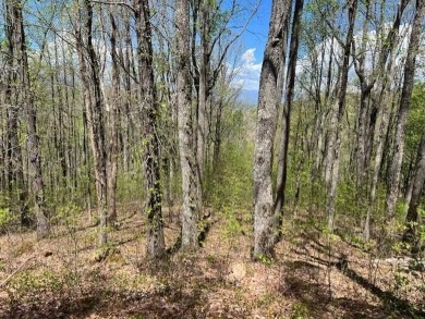 Beautiful view building lot! Here is your opportunity to obtain on Old Union Golf Course in Georgia - for sale on GolfHomes.com, golf home, golf lot