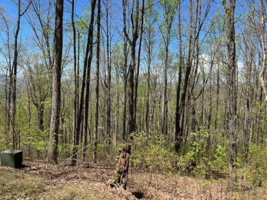 Beautiful view building lot! Here is your opportunity to obtain on Old Union Golf Course in Georgia - for sale on GolfHomes.com, golf home, golf lot