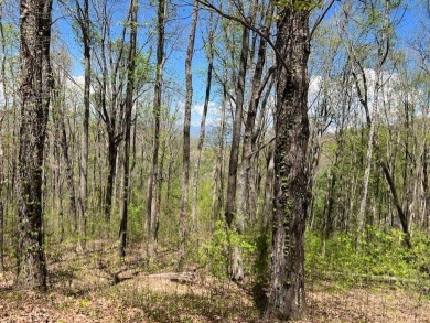 Beautiful view building lot! Here is your opportunity to obtain on Old Union Golf Course in Georgia - for sale on GolfHomes.com, golf home, golf lot