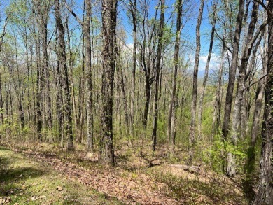 Beautiful view building lot! Here is your opportunity to obtain on Old Union Golf Course in Georgia - for sale on GolfHomes.com, golf home, golf lot