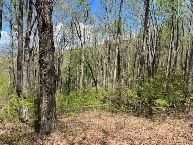 Beautiful view building lot! Here is your opportunity to obtain on Old Union Golf Course in Georgia - for sale on GolfHomes.com, golf home, golf lot