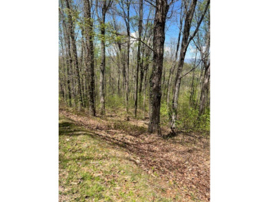 Beautiful view building lot! Here is your opportunity to obtain on Old Union Golf Course in Georgia - for sale on GolfHomes.com, golf home, golf lot