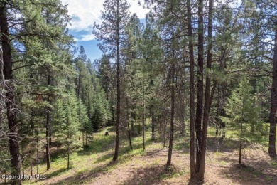 NEW 75'x15' Base Rock Driveway just put in. Beautiful sloping 2 on Stoneridge Golf Club in Idaho - for sale on GolfHomes.com, golf home, golf lot