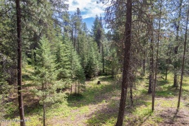 NEW 75'x15' Base Rock Driveway just put in. Beautiful sloping 2 on Stoneridge Golf Club in Idaho - for sale on GolfHomes.com, golf home, golf lot