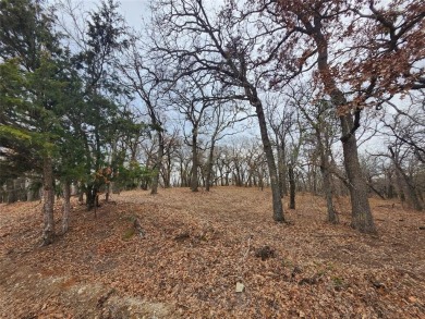 INVESTMENT!!INVESTMENT!! This home has Great bones and is ready on Nocona Hills Golf Course in Texas - for sale on GolfHomes.com, golf home, golf lot