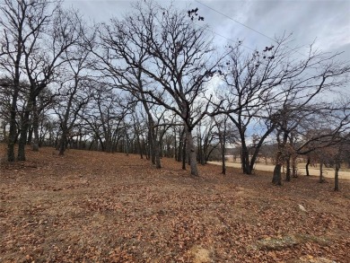 INVESTMENT!!INVESTMENT!! This home has Great bones and is ready on Nocona Hills Golf Course in Texas - for sale on GolfHomes.com, golf home, golf lot