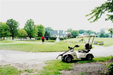 Beautifully Updated 2-Bed, 2-Bath Condo in Desirable Golf on North Olmsted Golf Club in Ohio - for sale on GolfHomes.com, golf home, golf lot