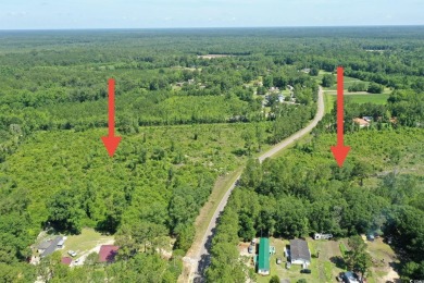 WOW!!! Calling All Developers or Anyone Looking for Coastal on Crown Park Golf Club in South Carolina - for sale on GolfHomes.com, golf home, golf lot