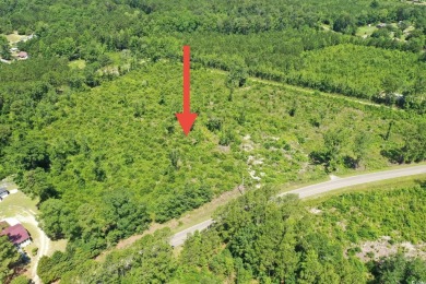 WOW!!! Calling All Developers or Anyone Looking for Coastal on Crown Park Golf Club in South Carolina - for sale on GolfHomes.com, golf home, golf lot