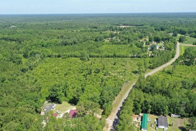 WOW!!! Calling All Developers or Anyone Looking for Coastal on Crown Park Golf Club in South Carolina - for sale on GolfHomes.com, golf home, golf lot