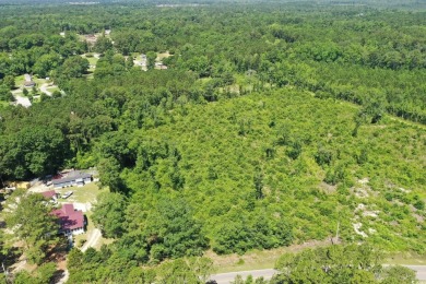 WOW!!! Calling All Developers or Anyone Looking for Coastal on Crown Park Golf Club in South Carolina - for sale on GolfHomes.com, golf home, golf lot