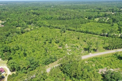 WOW!!! Calling All Developers or Anyone Looking for Coastal on Crown Park Golf Club in South Carolina - for sale on GolfHomes.com, golf home, golf lot
