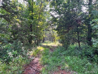 Rare opportunity to own 6 adjoining lots totaling 3.38 acres on on Terre Du Lac Golf and Country Club in Missouri - for sale on GolfHomes.com, golf home, golf lot