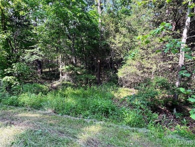 Rare opportunity to own 6 adjoining lots totaling 3.38 acres on on Terre Du Lac Golf and Country Club in Missouri - for sale on GolfHomes.com, golf home, golf lot