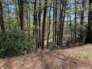 Gentle laying lot within Buckhorn Estates subdivision- on White Path Golf Club in Georgia - for sale on GolfHomes.com, golf home, golf lot
