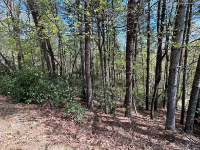 Gentle laying lot within Buckhorn Estates subdivision- on White Path Golf Club in Georgia - for sale on GolfHomes.com, golf home, golf lot