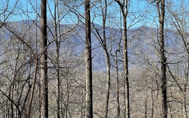BEAUTIFULLY 1.26 ACRE LOT IN THE MOUNTAINS OF NORTH CAROLINA!! for sale on GolfHomes.com