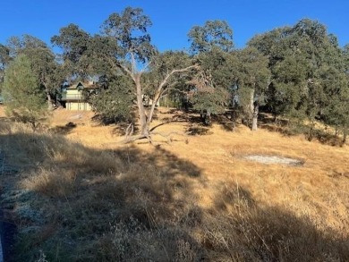 Come check out this stick built home located on large corner 1 on La Contenta Golf Course in California - for sale on GolfHomes.com, golf home, golf lot