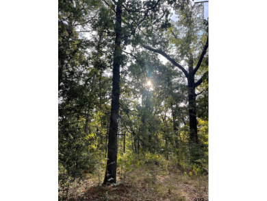 Build your dream home on this beautiful, heavily wooded 0 on Holly Lake Ranch Golf Club in Texas - for sale on GolfHomes.com, golf home, golf lot