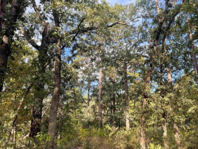 Build your dream home on this beautiful, heavily wooded 0 on Holly Lake Ranch Golf Club in Texas - for sale on GolfHomes.com, golf home, golf lot