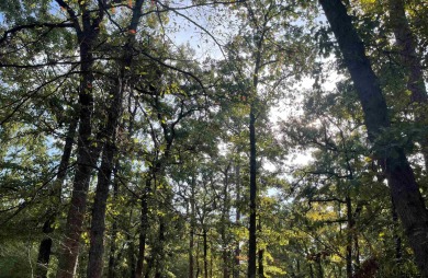 Build your dream home on this beautiful, heavily wooded 0 on Holly Lake Ranch Golf Club in Texas - for sale on GolfHomes.com, golf home, golf lot