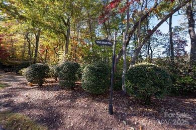Experience refined mountain living at its finest within The on The Cliffs At Walnut Cove in North Carolina - for sale on GolfHomes.com, golf home, golf lot