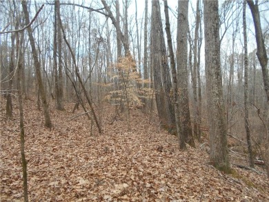 +/- 46.23 ACRES, South Sharon Church Rd, Loganville, Ga (Parcel on Cedar Lake Golf Club in Georgia - for sale on GolfHomes.com, golf home, golf lot