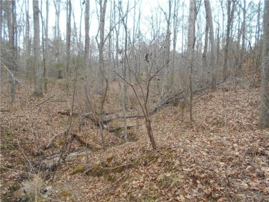 +/- 46.23 ACRES, South Sharon Church Rd, Loganville, Ga (Parcel on Cedar Lake Golf Club in Georgia - for sale on GolfHomes.com, golf home, golf lot