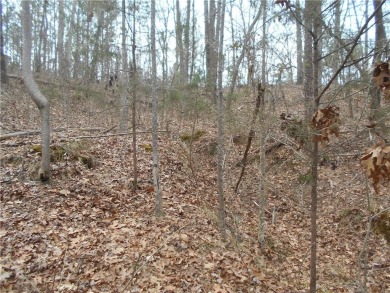 +/- 46.23 ACRES, South Sharon Church Rd, Loganville, Ga (Parcel on Cedar Lake Golf Club in Georgia - for sale on GolfHomes.com, golf home, golf lot