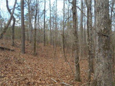 +/- 46.23 ACRES, South Sharon Church Rd, Loganville, Ga (Parcel on Cedar Lake Golf Club in Georgia - for sale on GolfHomes.com, golf home, golf lot