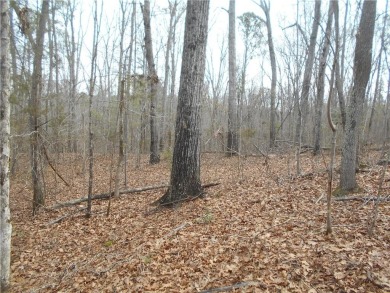 +/- 46.23 ACRES, South Sharon Church Rd, Loganville, Ga (Parcel on Cedar Lake Golf Club in Georgia - for sale on GolfHomes.com, golf home, golf lot