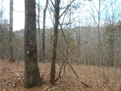 +/- 46.23 ACRES, South Sharon Church Rd, Loganville, Ga (Parcel on Cedar Lake Golf Club in Georgia - for sale on GolfHomes.com, golf home, golf lot
