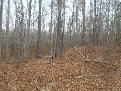 +/- 46.23 ACRES, South Sharon Church Rd, Loganville, Ga (Parcel on Cedar Lake Golf Club in Georgia - for sale on GolfHomes.com, golf home, golf lot